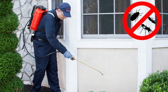 Dinar Dezenfeksiyon böcek ilaçlama ve haşere kontrolü — ilaclama-tr.com